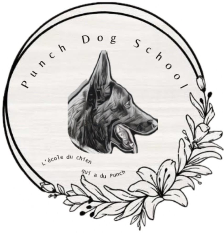 PDS-Punch Dog School